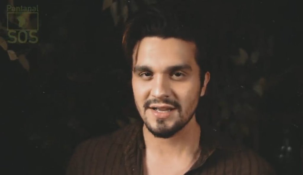 Um Grito Entre As Cinzas