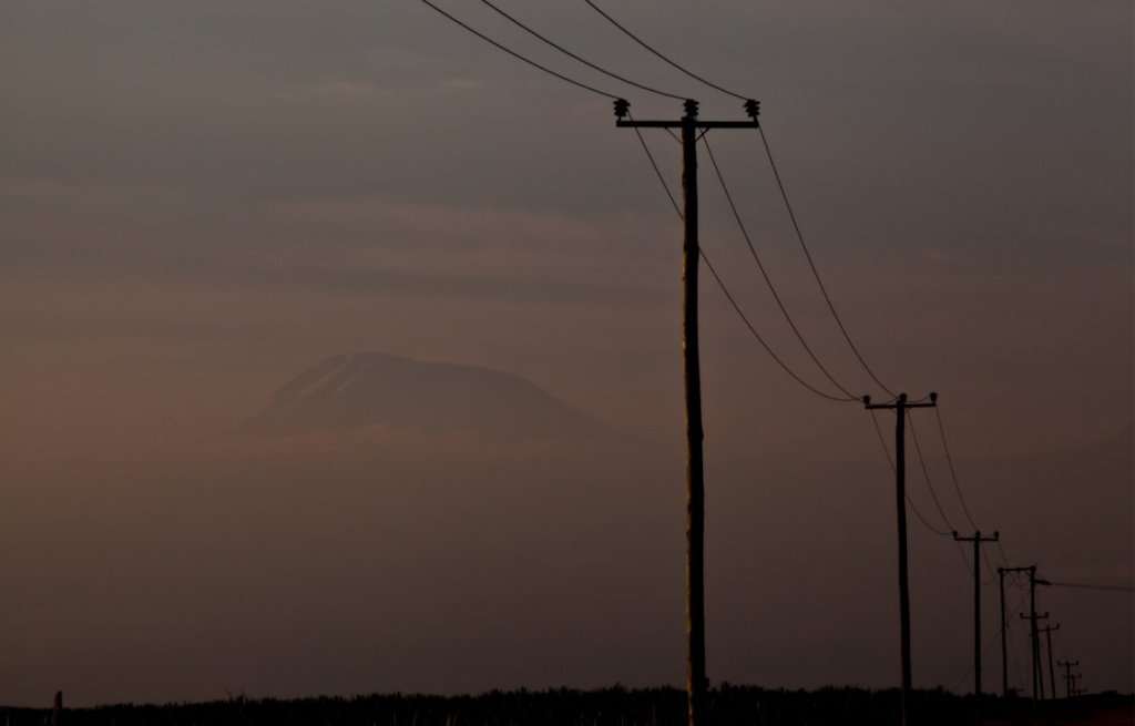 Exposição Ameaçados
