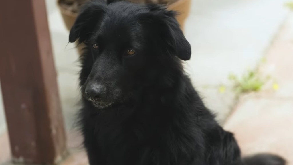 Cuando Te Vuelva A&nbsp;Ver