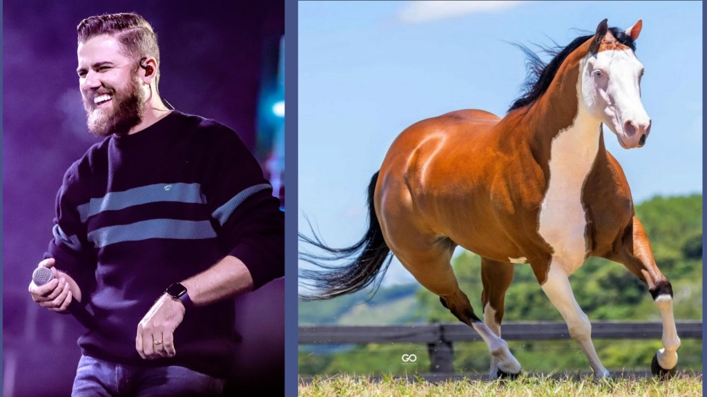 Égua De R$ 2,5&nbsp;milhões